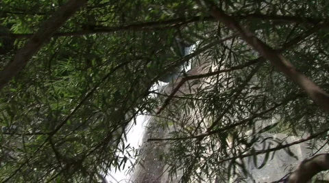 Waterfall Dolly Movement By Tree 스톡 동영상 567848