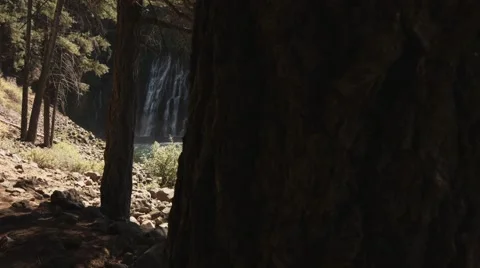 Waterfall Dolly Movement by Tree Stock Footage 46216836
