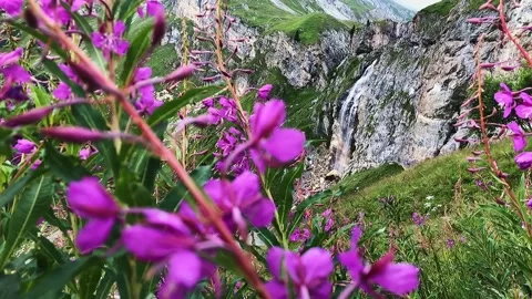 Waterfall down a rock face in the mountains with patches of lush green grass Stock Footage 248378872
