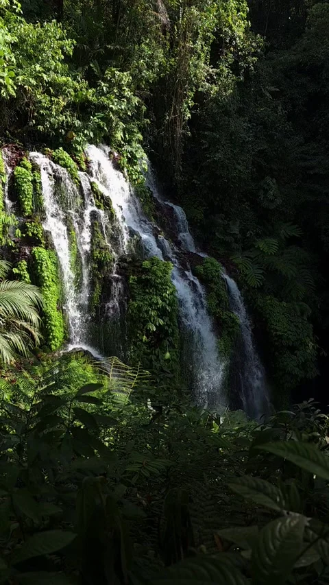Waterfall in Dramatic Light and Shadow at Banyu Wana Amertha, Bali Stock Footage 346507909