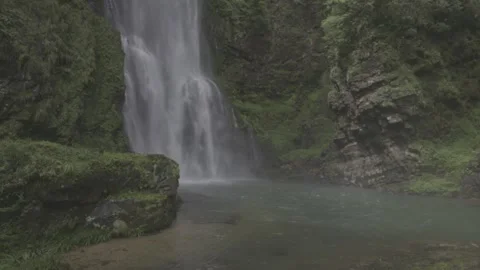 Waterfall Dropping into Natural Forest Pool Stock-Footage 343562053