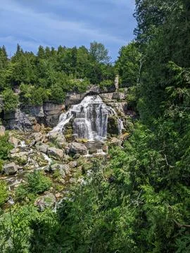 Waterfall Drops Down the Niagara Escarpment Surrounded by a Lush Canopy Foto stock
