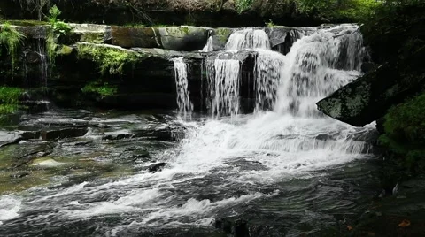 Waterfall on Dunloup Creek Loop Video stock 41983859