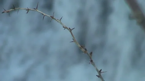 Waterfall during winter Vidéo 1013866