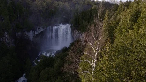 Waterfall in early Autumn  Vídeo Stock 81976080