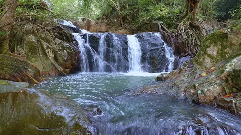 Waterfall at ecotourism study center Stock Footage 111686914