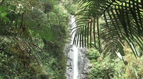 Waterfall in Ecuador Stock Footage