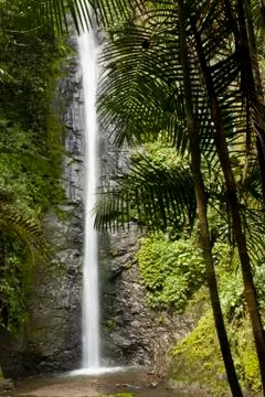 Waterfall in the Ecuador Stock Photos