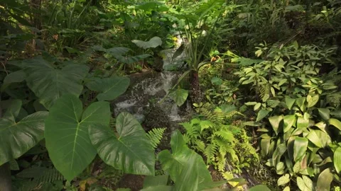 Waterfall - Eden Project Stock Footage 273097383