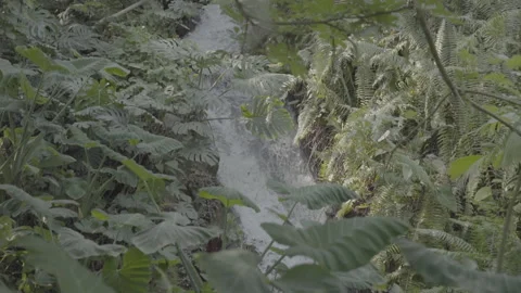 Waterfall In The Eden Project - No LUT Version Stock Footage 221829148