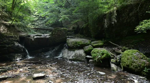 Waterfall in Ehrbachklamm of wild stream Ehrbach next to Mosel River. 스톡 동영상 54826557