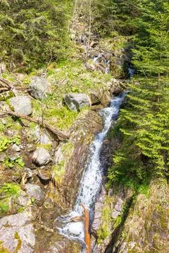 Waterfall in evergreen forest Stock Photos