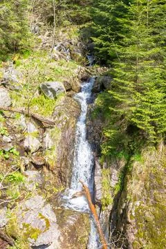 Waterfall in evergreen forest Stock Photos