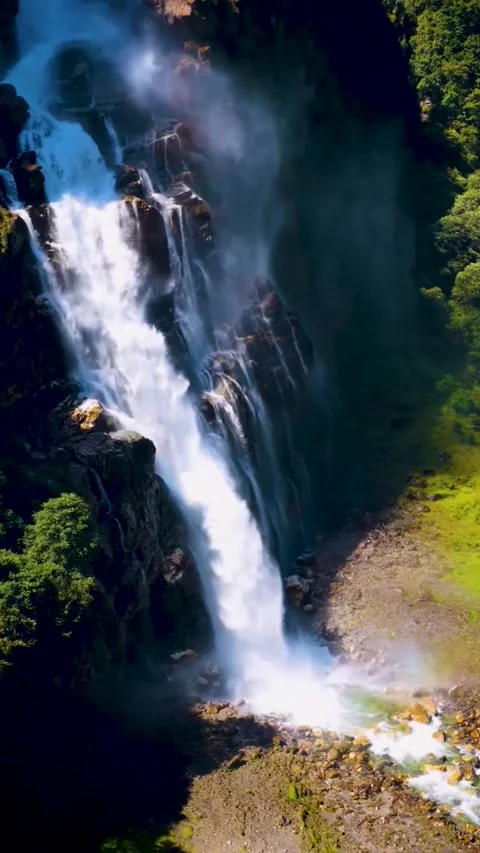Waterfall Falling into a Dense Forest and River (Nature Power). Stock Footage 321610007