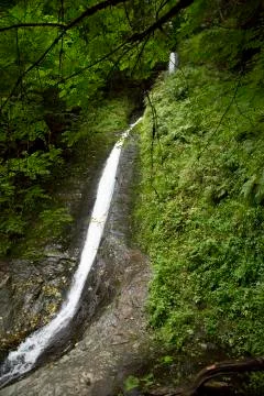 Waterfall falling down green hills in rural forest Stock Photos