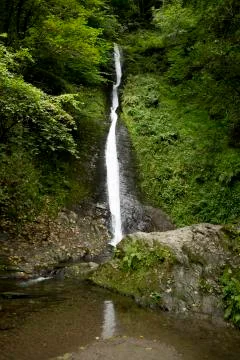 Waterfall falling down green hills in rural forest Stock Photos