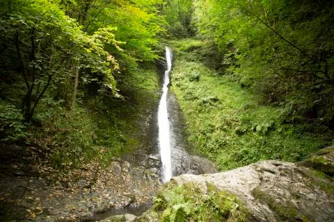 Waterfall falling down green hills in rural forest Stock Photos