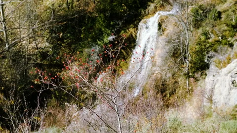 Waterfall falling down over rock. Green forest on Pyrenees mountains. Spain. 4K Vídeos de archivo 113355021