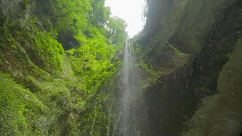 Waterfall falls view from below around green trees and bushes Stock Footage 229530310