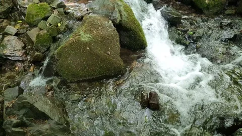 Waterfall, fast flowing water from rocks 5 Stock Footage 195956808