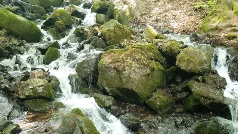 Waterfall, fast flowing water from rocks 4 Stock Footage 195956980