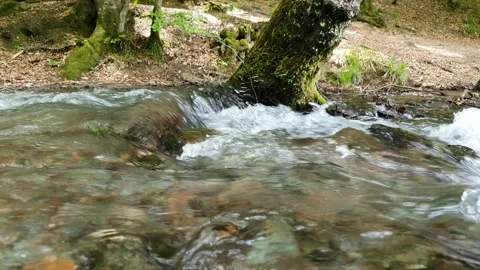 Waterfall, fast flowing water from rocks Yedigoller (Yedigöller) or Seven Lakes  Stock Footage 196031189