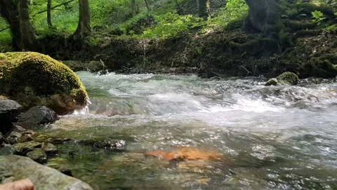 Waterfall, fast flowing water from rocks Yedigoller (Yedigöller) or Seven Lakes  Stock Footage 196033302