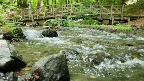 Waterfall, fast flowing water from rocks Yedigoller (Yedigöller) or Seven Lakes  Stock Footage 196072916