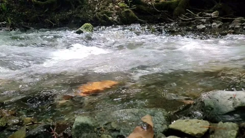 Waterfall, fast flowing water from rocks Yedigoller (Yedigöller) or Seven Lakes  Stock Footage 196073360