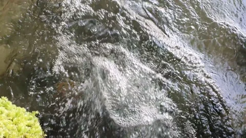 Waterfall, fast flowing water from rocks Yedigoller (Yedigöller) or Seven Lakes  Stock Footage 196095899