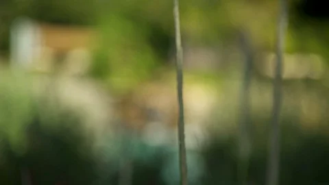 Waterfall Feature Tracking Shot Stock Footage 90011738