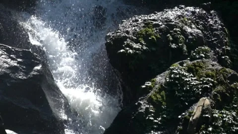 Waterfall flow in the rocky mountains Stock Footage 319877474
