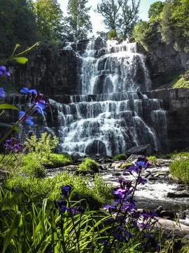 Waterfall with flowers 스톡 사진