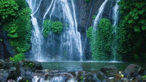 Waterfall Flowing into Beautiful Pool, Bali  50fps Stock Footage 147309667