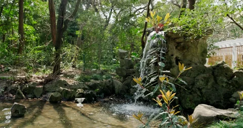 Waterfall flowing into the creek Stock Footage 243730345