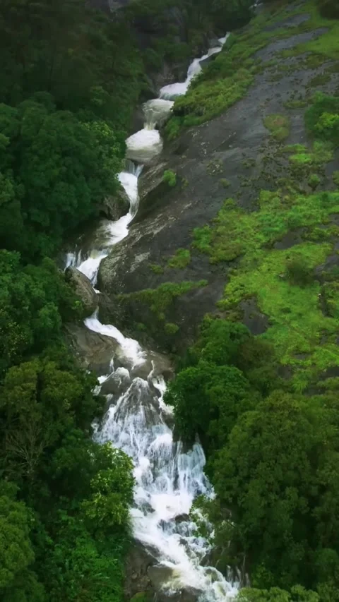 Waterfall that is flowing down in a green lush surrounding (vertical) 库存影片 288797147