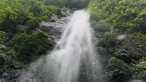 Waterfall Flowing Down Lush Green Jungle Cliff, Dynamic Tracking Shot Stock Footage 324851178