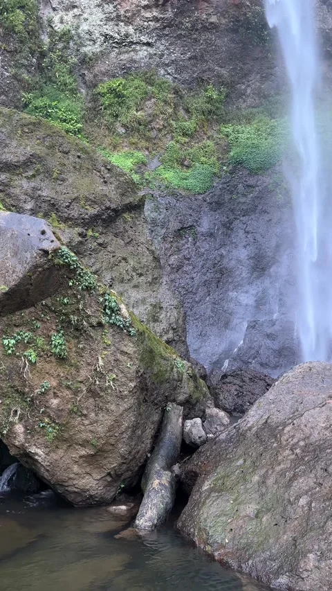 Waterfall Flowing Down Rocky Cliff into River Pool Vertical Pan Up Stock Footage 323911905