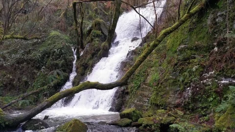 A waterfall is flowing down a rocky hillside Stock Footage 274489822