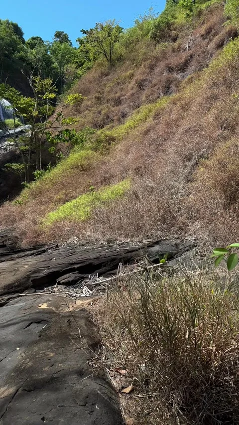 Waterfall Flowing Down Rocky Jungle Gorge, Lush Tropical Forest, Vertical Pan Up Stock-Footage 324770105