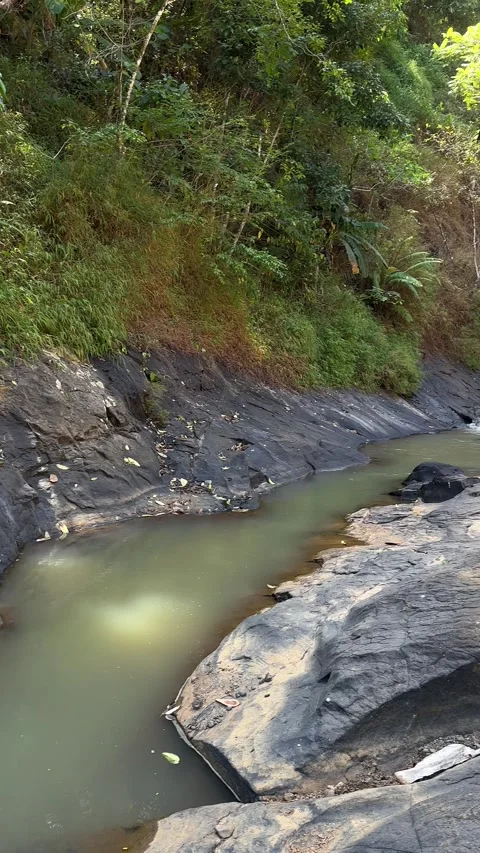 Waterfall Flowing Down Rocky River, Tropical Forest, Vertical Panning View Stock Footage 324770058
