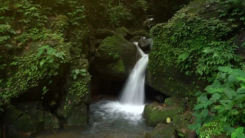 Waterfall flowing fast in forest Stock Footage 95223014