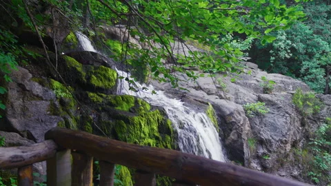 The waterfall is flowing. Stock Footage 212540328