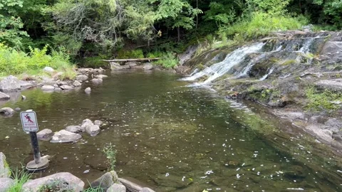 Waterfall Flowing into Forest River Pool Wide Shot Stock Footage 344812010