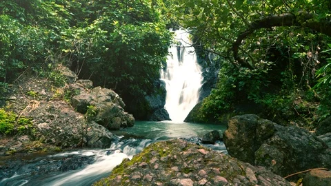 Waterfall flowing in green forest Stock Footage 95418780