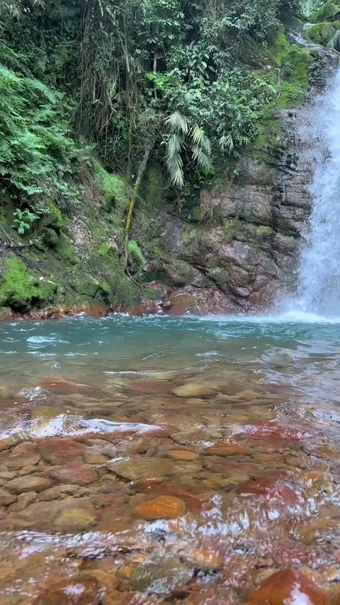 Waterfall Flowing into Natural Pool with Clear River, Tropical Jungle, Vertical Stock Footage 321104197