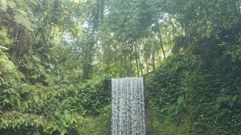 Waterfall flowing over mossy cliffs in bali Stock Footage 340848153