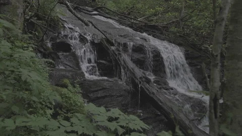 Waterfall flowing over rocks in forest 스톡 동영상 133085896