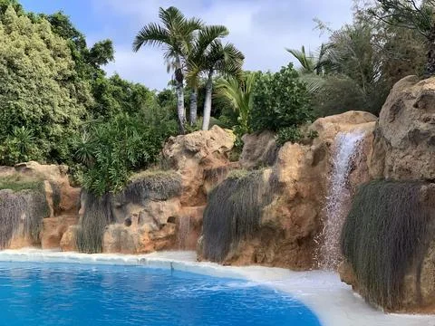 Waterfall is flowing into a pool with a tree in the background Stock Photos