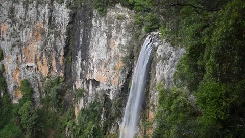 Waterfall flowing into rainforest canyon Stock Footage 74754541